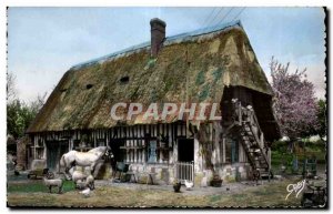 Normandy - Old Farm - Old Postcard