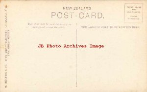 New Zealand, Auckland, Public Hospital & Annexes, W. Beattie No 6001 