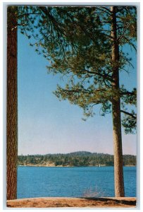c1950's Lake Arrowhead San Bernardino National Park View California CA Postcard