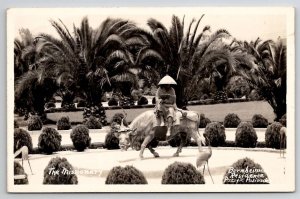 San Francisco Missionary Bernheimer Residence Japanese Garden CA Postcard X21