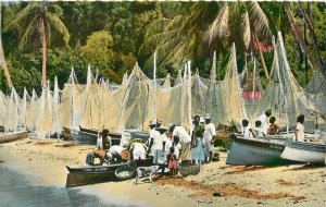 Artist Caribbean Fishing boats hand Tint La Martinique Postcard 20-1615