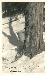 Postcard RPPC Vermont Maple Sugar gathering buckets 1940s 23-4637