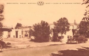 Shelby Montana Shea's Motel Vintage Postcard AA40853