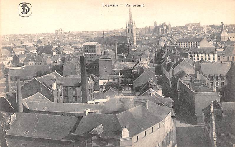 Panorama Louvain Belgium Unused 