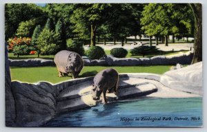 Detroit Michigan~Zoological Park~Hippos Enclosure~Pond~Shrubs~1950s Postcard
