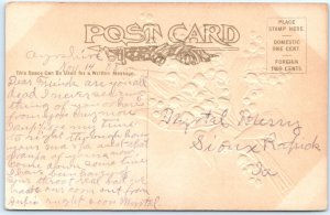 c1910s Greenville, IA Greetings Mica Glitter Embossed Artistic Postcard A115