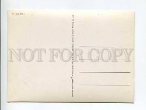 263469 Siamese CAT OLD 3-D Lenticular postcard