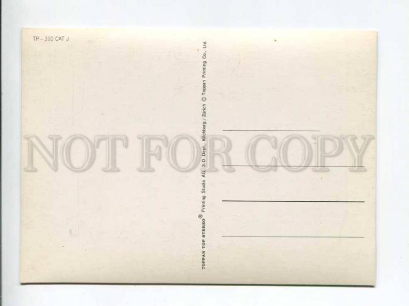 263469 Siamese CAT OLD 3-D Lenticular postcard