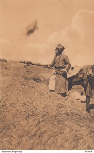 Winnowing , Israel , 1920-30s ; Farm worker