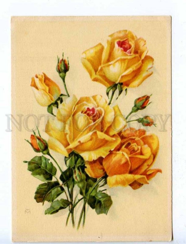 218845 GERMANY roses flower by WM old postcard