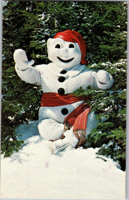 Le Bonhomme, King of Quebec Winter Carnival Vintage Postcard M22