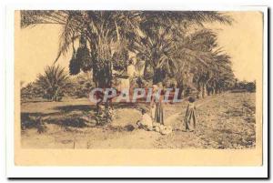 Algeria Old Postcard Expedition dates nutmegs Lassolle Lavignon Le Gallic Bis...