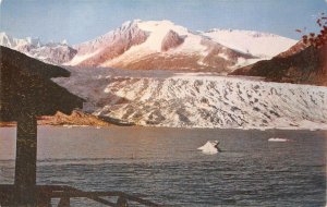 MEDENHALL GLACIER NEAR JUNEAU ALASKA FROM SKATER'S CABIN POSTCARD (c. 1950s)
