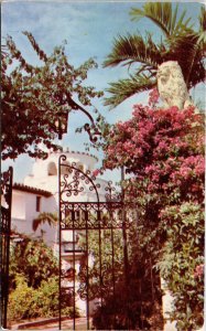 Blooming Bougainvillia Gate Florida Estate FL Postcard VTG UNP Plastichrome  