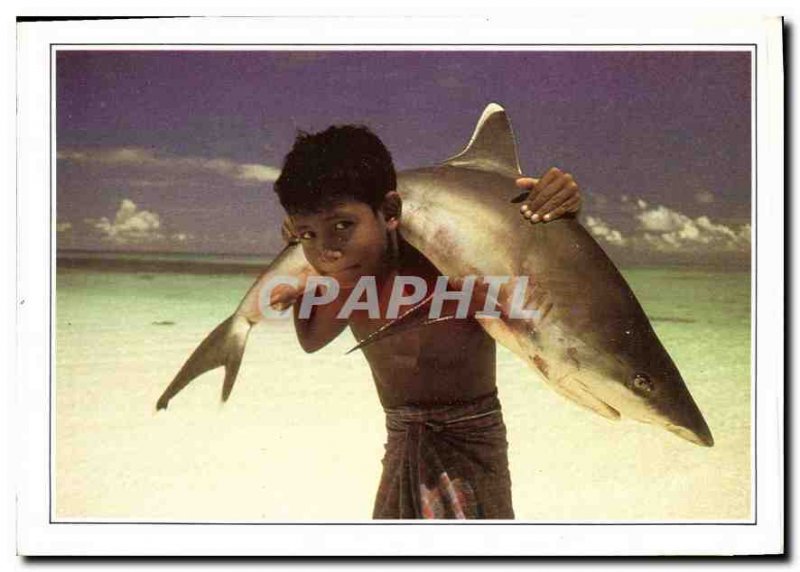 Postcard Modern Maldives Islands Maldives has white tip shark