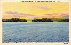 TUPPER LAKE, NY New York  WHEELER ISLAND~Head Of Big Tupper  c1940's Postcard