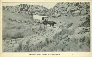 C-1910 Ezra Meeker Idaho Descent Snake River Canyon Postcard 21-1905