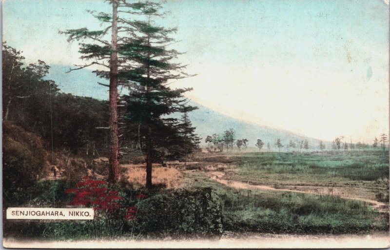 Japan Senjougahara Nikko Vintage Postcard C102