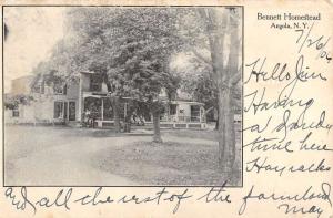 Angola New York Bennett Homestead Street View Antique Postcard K91697