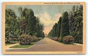 1937 FLORIDA AVENUE OF AUSTRALIAN PINES AND HIBISCUS LINEN POSTCARD P2646