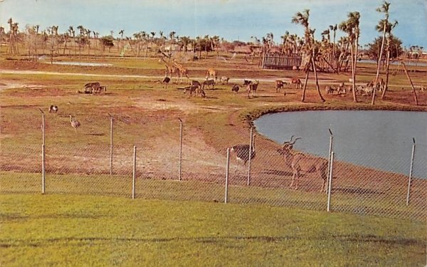 The African Veld at Busch Gardens Tampa, Florida