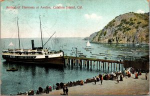 Vtg Catalina Island California CA Arrival of Hermosa at Avalon 1910s Postcard