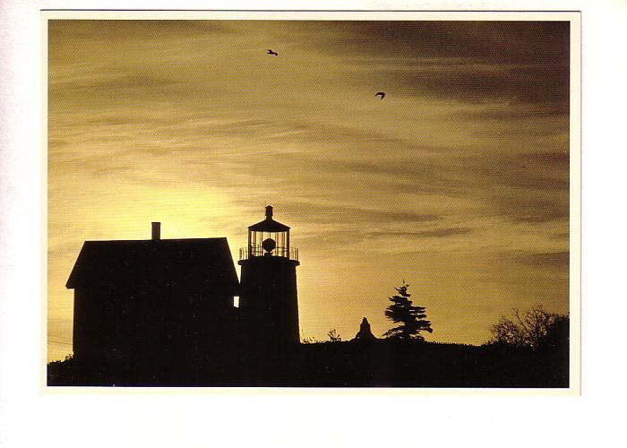 Silhouette, Lighthouse and Seagulls  Maine, Photo Ed Elvidge, 