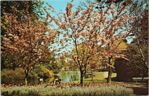 Beacon Hill Park Victoria BC Unused Vintage AV Pollard Postcard G64