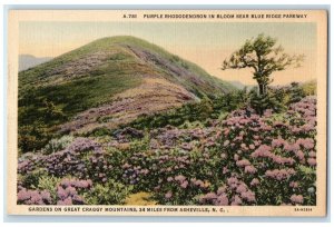 c1940's Gardens On Great Craggy Mountains Asheville North Carolina NC Postcard