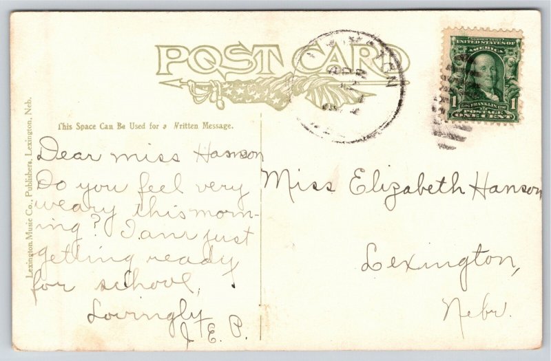 Lexington Nebraska~Lafayette County Courthouse~Neighborhood Houses~1908 Postcard