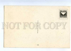 233675 Charming HORSE Old postcard