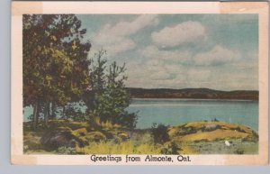 Mississippi River, Greetings From Almonte, Ontario, Vintage SDC Postcard #2
