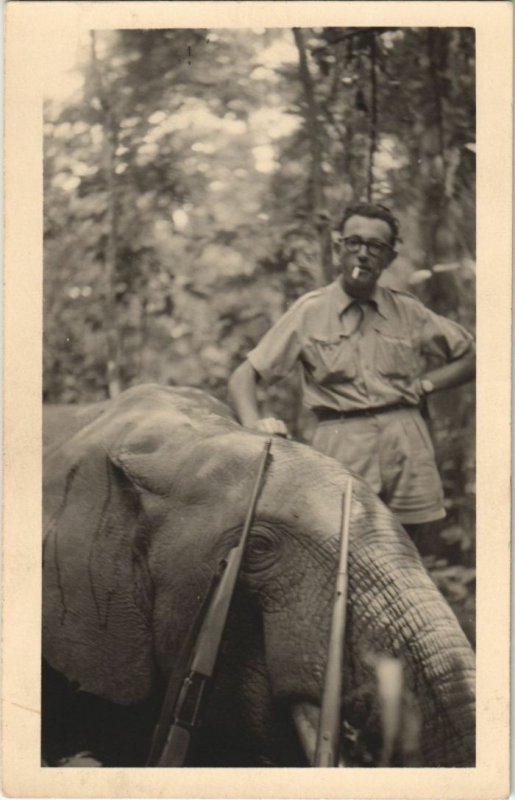 PC LOUDIMA ELEPHANT HUNTED DOWN 1953 FRENCH CONGO REAL PHOTO (A22815)