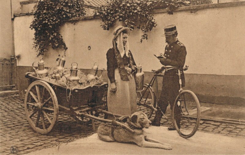 Belgium Laitière flamande Dog cart 03.74