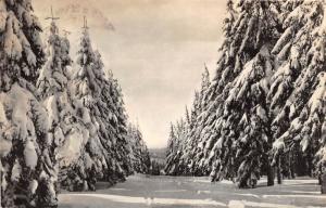 BG15400 neuhaus a rwg zum wachtersteich wintersportplatz   germany CPSM 14x9cm