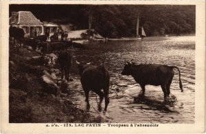 CPA Lac PAvin Troupeau a l'abreuvoir FRANCE (1289186)