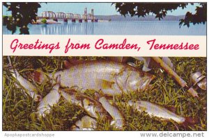 Tennessee Greetings From Camden With Kentucky Lake Game Fish and Bridge