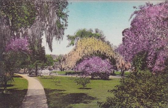 Florida Sebring Walk Through East Grounds Kenilworth Lodge Highland County Al...