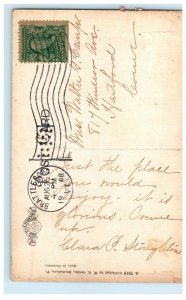 1908 Linden Lodge Brattleboro Vermont VT Posted Antique Postcard