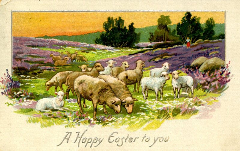 Greeting - Easter. (Tuck Series 704)  sheep, lambs