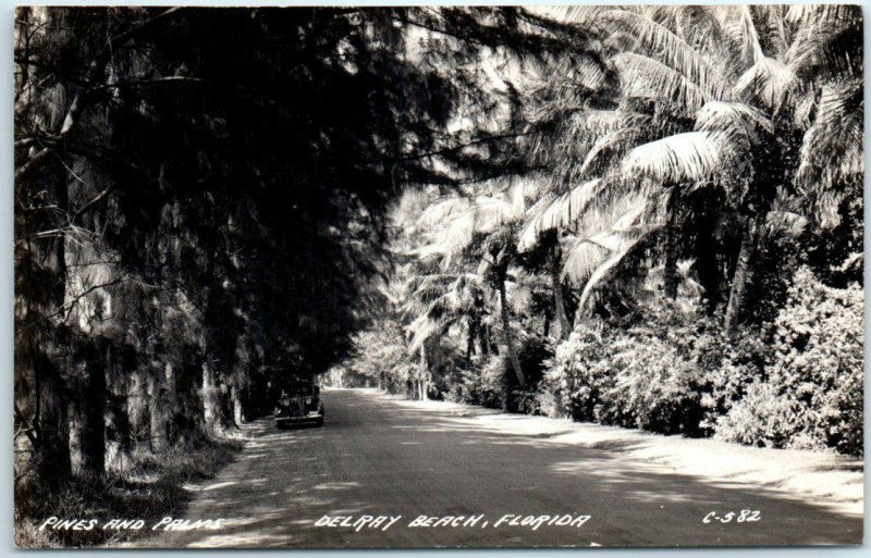 Postcard - Pines and Palms - Delray Beach, Florida 