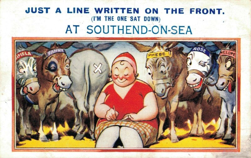 Just A Line Written On The Front Comic Vintage Postcard 06.40