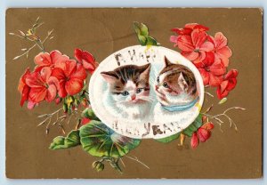 Kenyon Minnesota MN Postcard Cute Cat Kitten And Flowers Embossed 1908 Antique