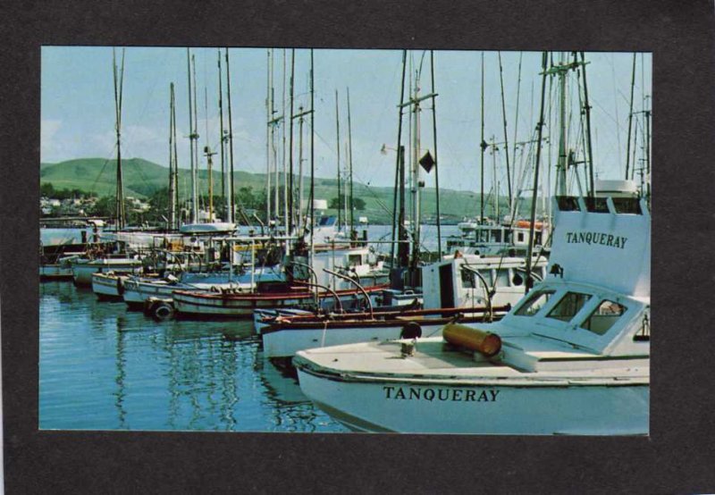 CA Boats The Tanqueray Harbor Harbour Sailboats Bodega Bay California Postcard