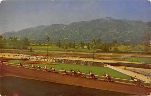 Arcadia, CA, USA Horse Racing Postcard