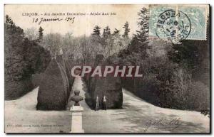 Old Postcard Lucon garden dumaine allee yew