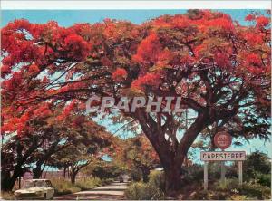  Tarjeta Postal moderna St Barthelemy Capesterre ardiente