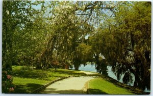 B-66089 Magnolia, Highway 61, Summerville Road Near Charleston, South Carolina