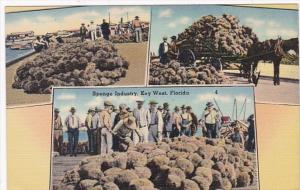 Florida Key West Multiple Views Of The Sponge Industry