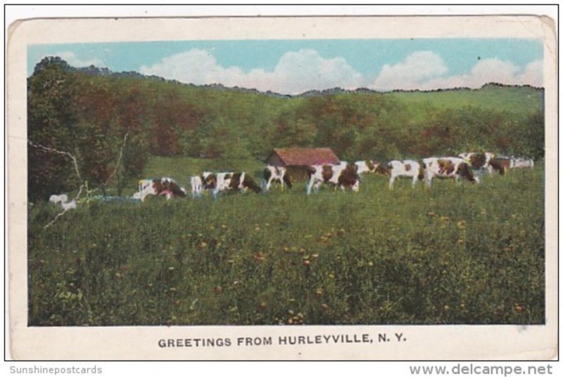 New York Greetings From Hurleyville 1931